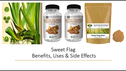 Sweet Flag - Herbal Medicine
