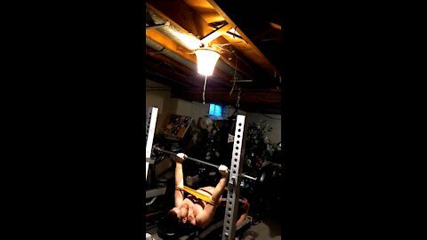 Banded bench slingshot 290 x 5