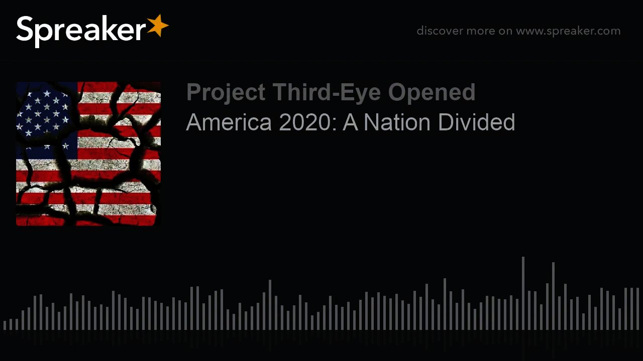 America 2020: A Nation Divided