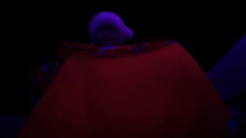 Don't try the Santa rural at night!!!