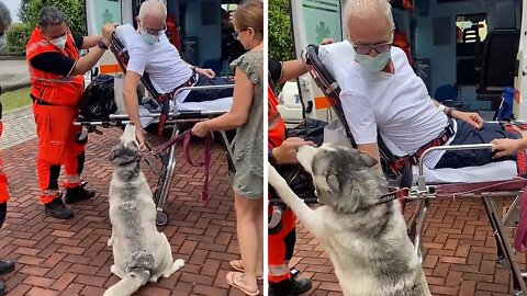 Ecstatic pup reunited with owner after 3 weeks apart