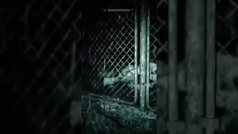 You Wanna Play Hide And Seek