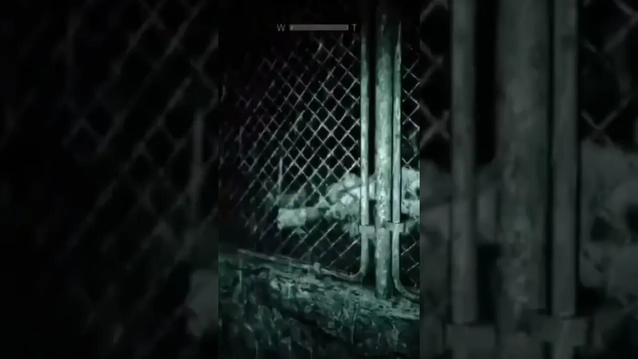 You Wanna Play Hide And Seek