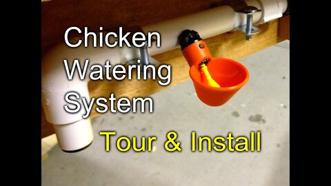 Chicken Watering: Tour and Install of my gravity fed system