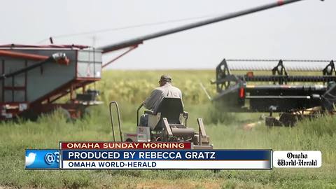 Omaha Sunday Morning: 99-year-old farmer, patrol horse retires, Blackstone artwork