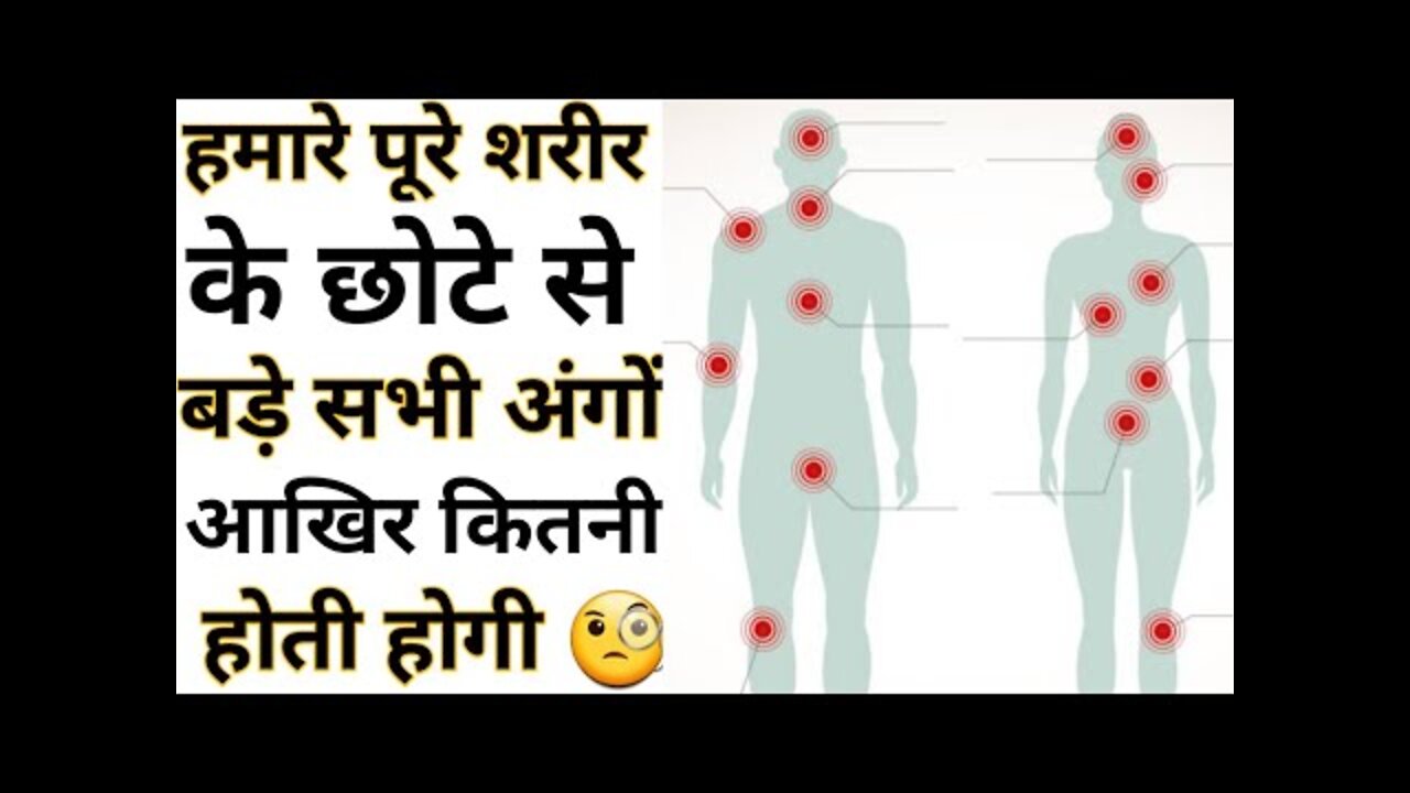 शरीर की कीमत कितनी होती है | Amazing Facts | Interesting Facts#Shorts