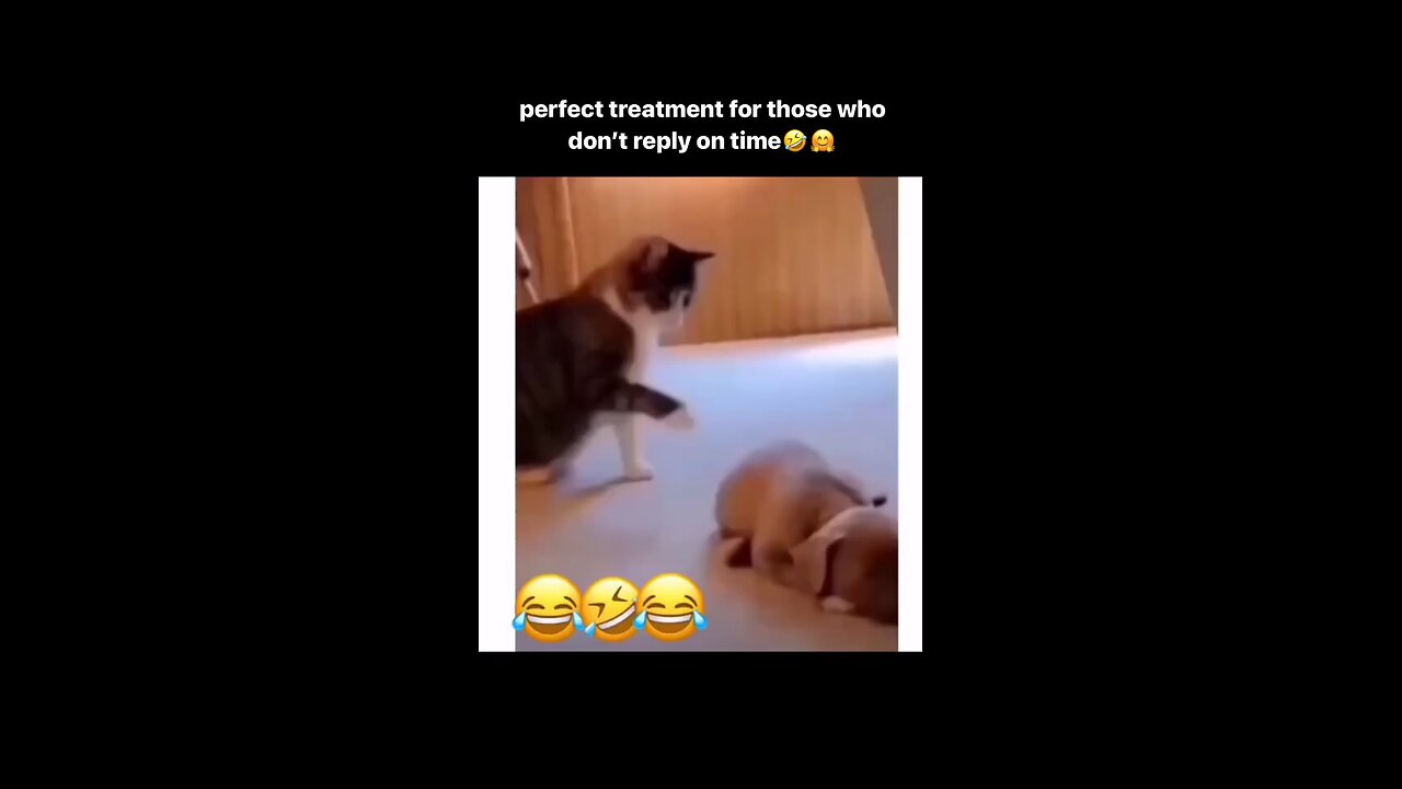 funny reply 😂