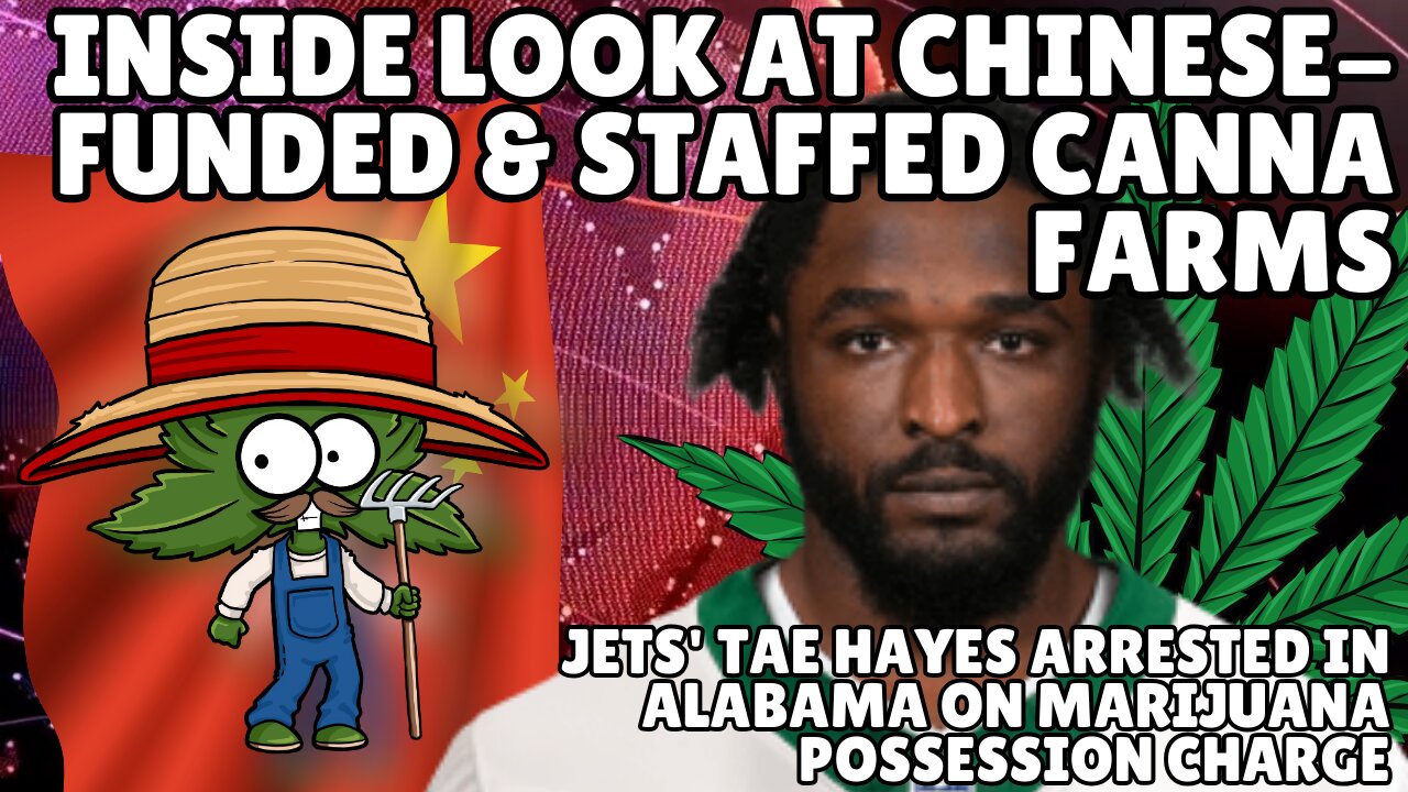 DEA and GOP Leaders Demand Public Hearing on Cannabis Rescheduling, Jets' CB Tae Hayes Arrested