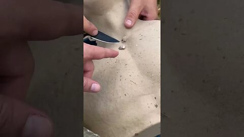 Teste inútil 5
