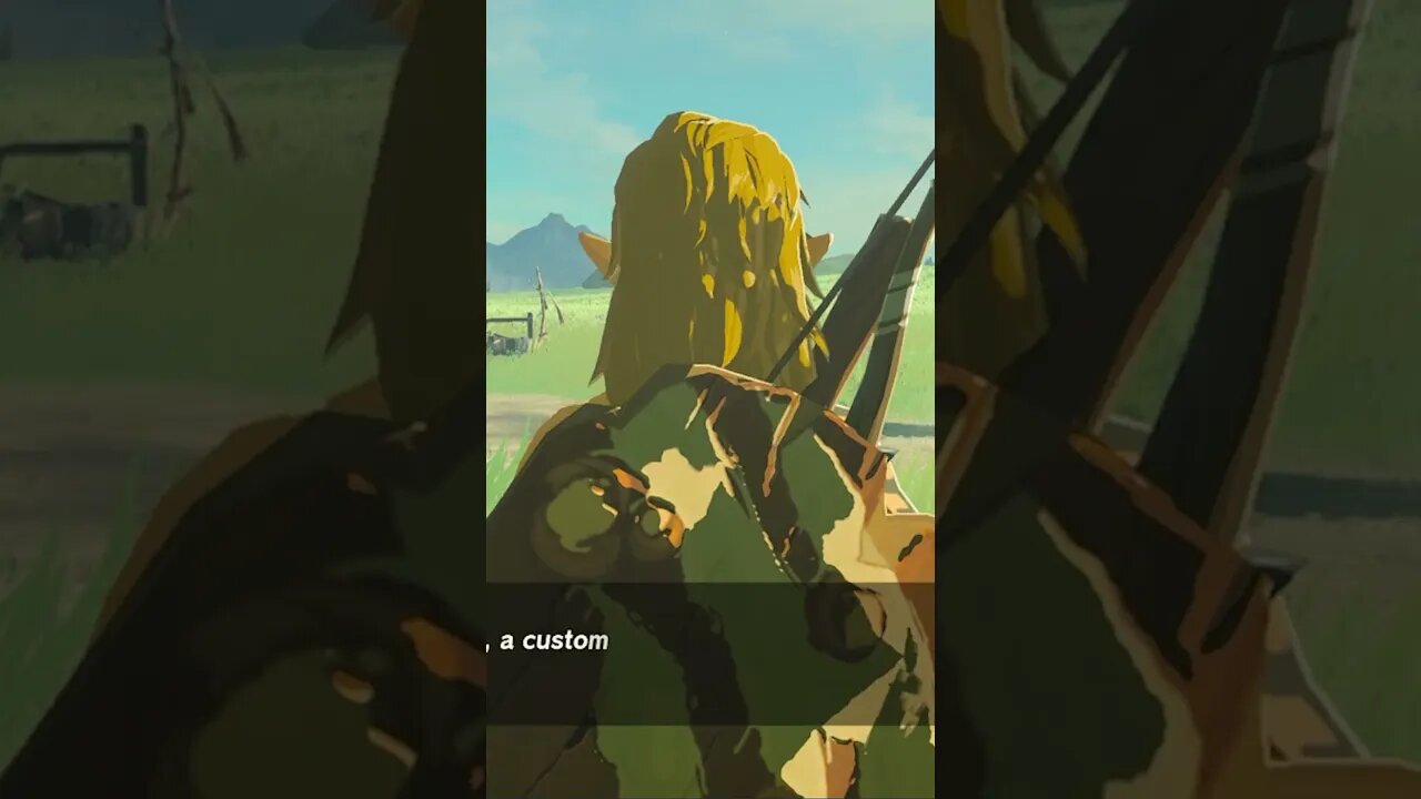 The Legend of Zelda Breath of the Wild - LOOONG TRICKSHOT #botw #breathofthewild #zelda #shorts