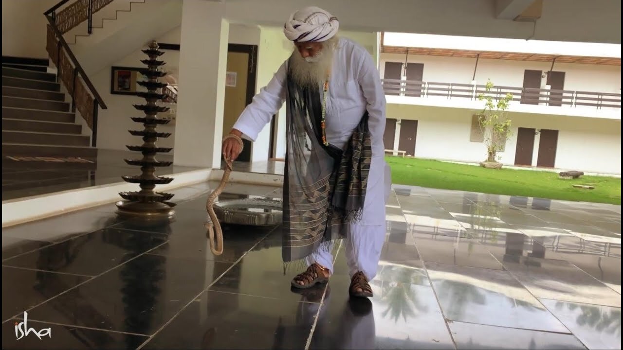 Sadhguru Handles a Cobra | Shorts