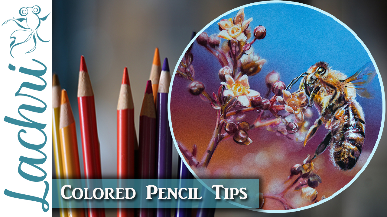 Colored Pencil & Mixed Media Tips - Lachri