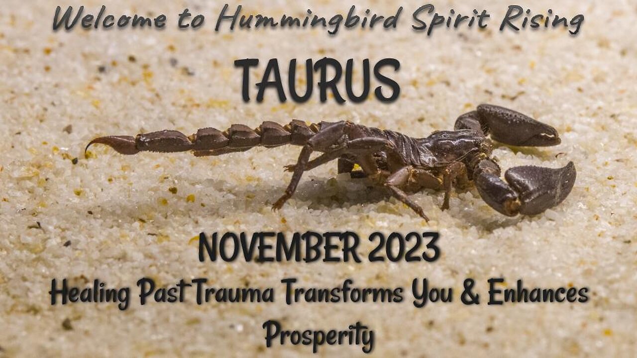 TAURUS NOVEMBER 2023 - Healing Past Trauma Transforms You & Enhances Prosperity