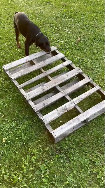 JACK AKA BABAYZAK-DONEYUNO