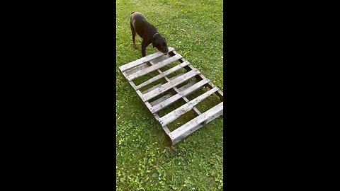 JACK AKA BABAYZAK-DONEYUNO
