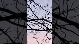 Sunset 02/23/23 In Monticello Arkansas