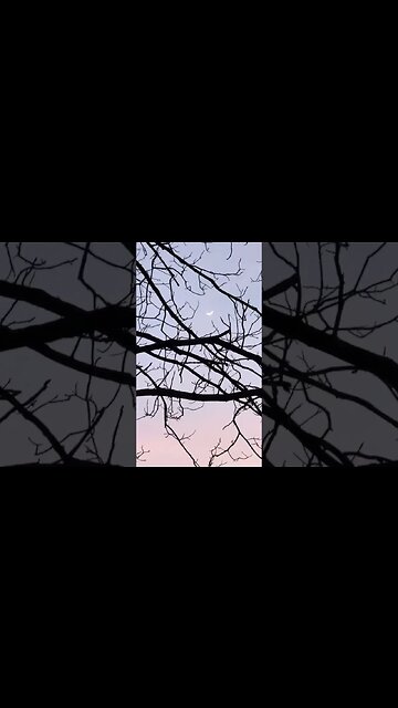 Sunset 02/23/23 In Monticello Arkansas