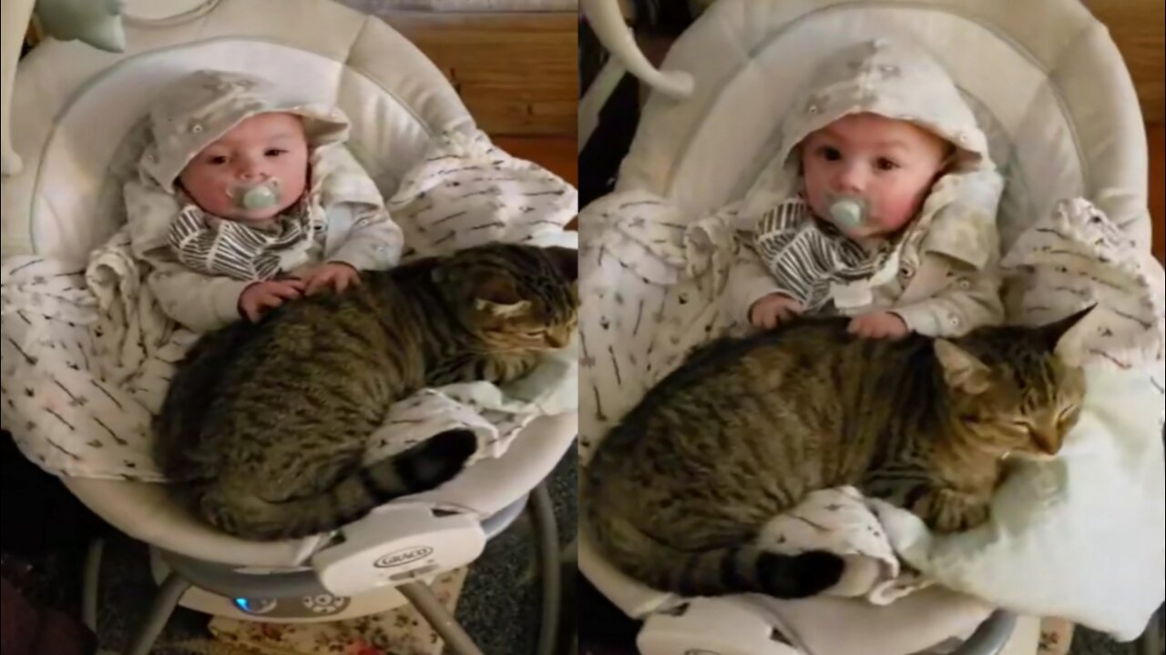 Cute Baby And Cat funny Movement shot video