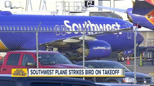 Southwest flight hits bird, forced to land in Nashville day after plane engine explodes