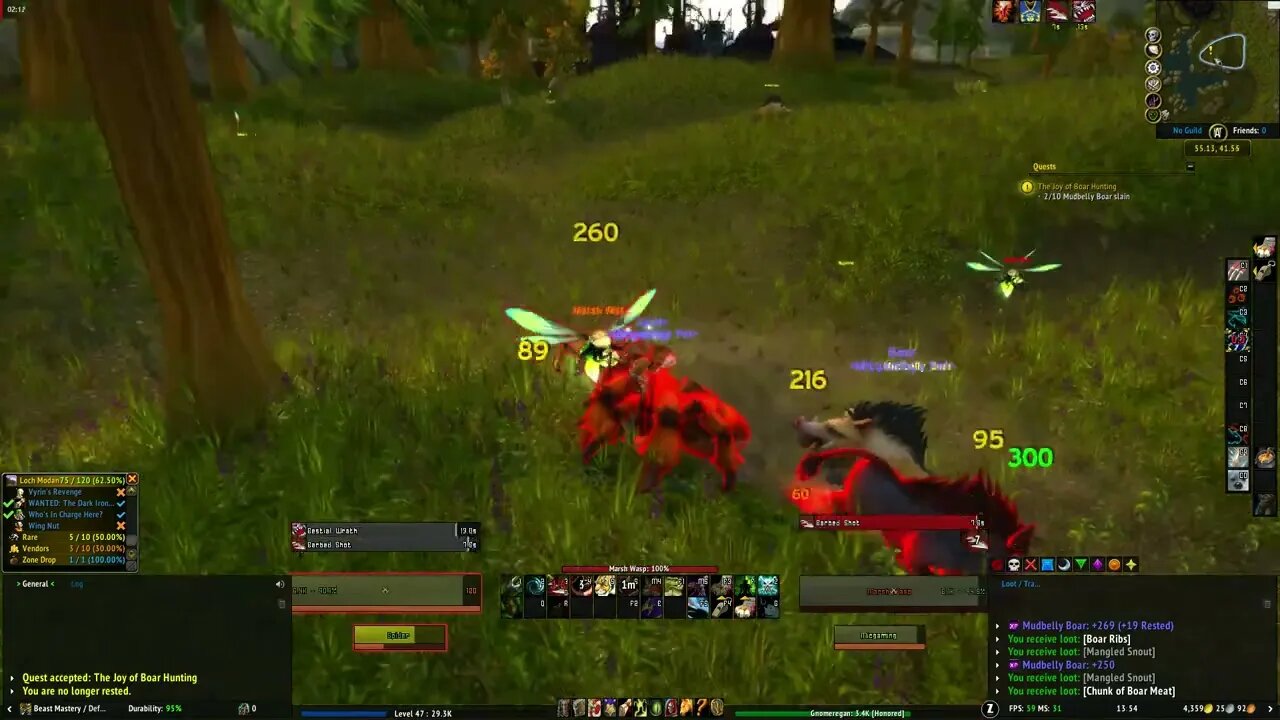 World of Warcraft The Joy of Boar Hunting