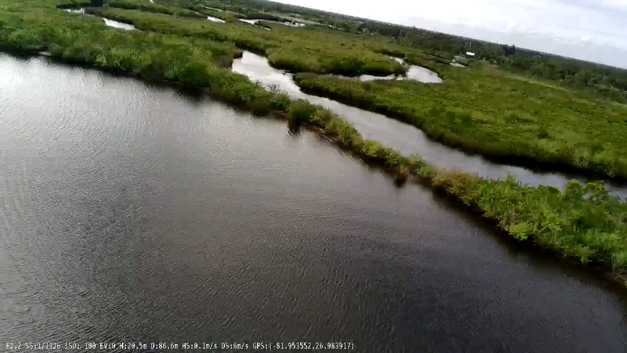 12/02/23 shell creek gator1