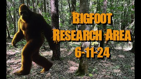 Bigfoot Research Area | 6-11-24