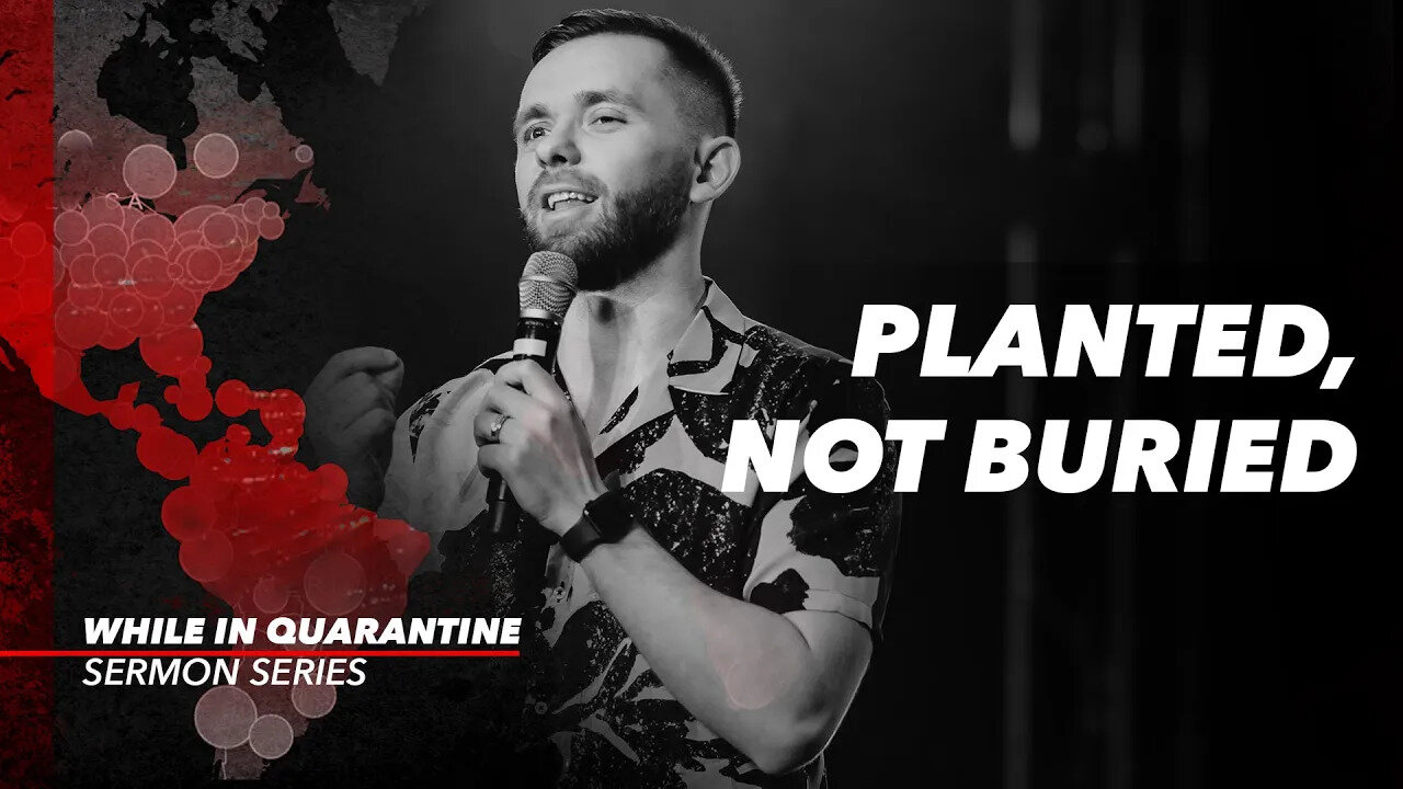 Planted, Not Buried // While in Quarantine (Part 5)