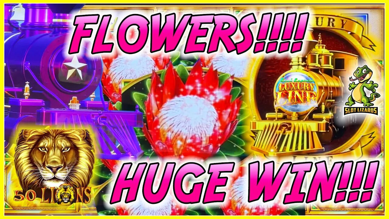 FLOWERS FLOWERS FLOWERS! BETTER THAN JACKPOT WIN! Luxury Line 50 Lions Slot