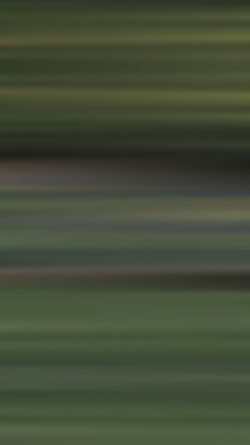 Keep the connection Open all day