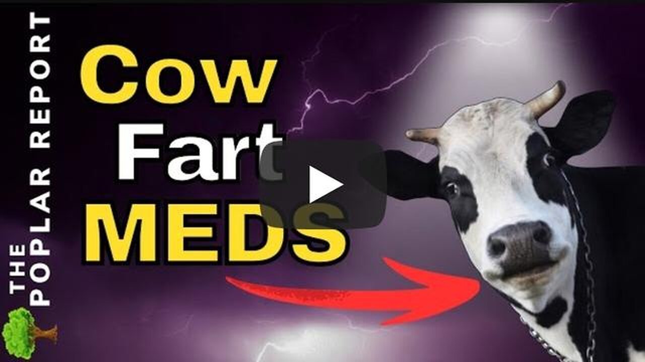 🚨🚨Experimental MEDS Being Used On COWS- Food Shortage Updates