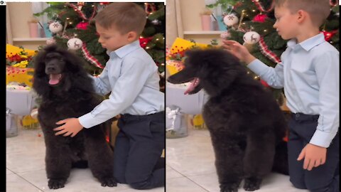 Baby has the sweetest reaction to Dog