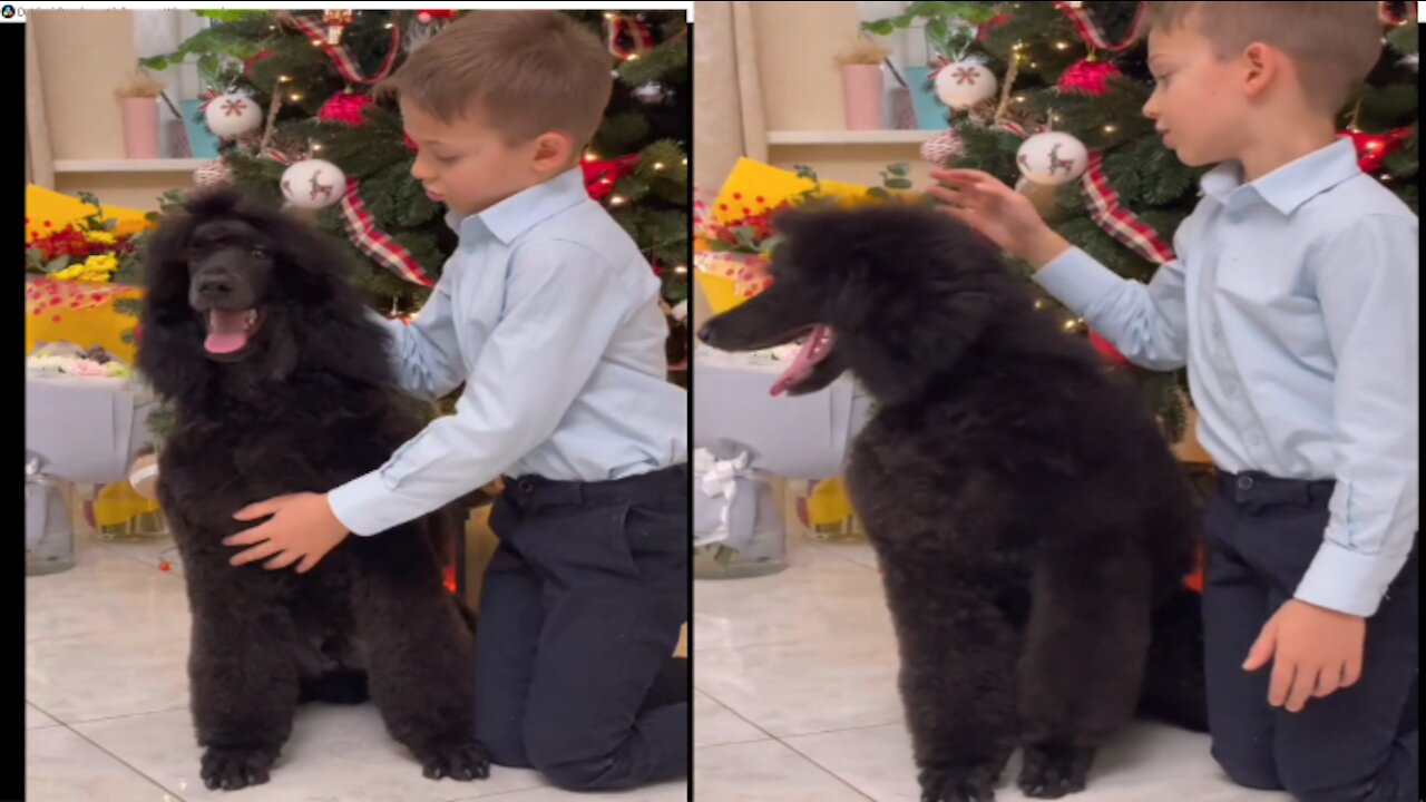 Baby has the sweetest reaction to Dog