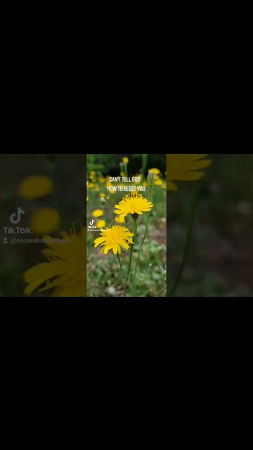 Accept and Keep Moving