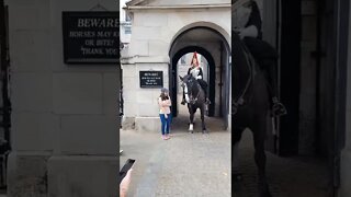 horse pushes tourists #horseguardsparade