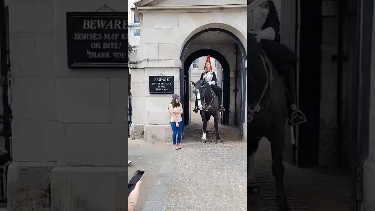horse pushes tourists #horseguardsparade