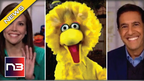 Yikes! Ted Cruz Slams Big Bird For Promoting Biden Admin Mandate