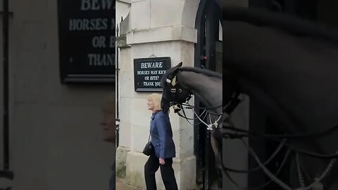 Lucky escape #horseguardsparade