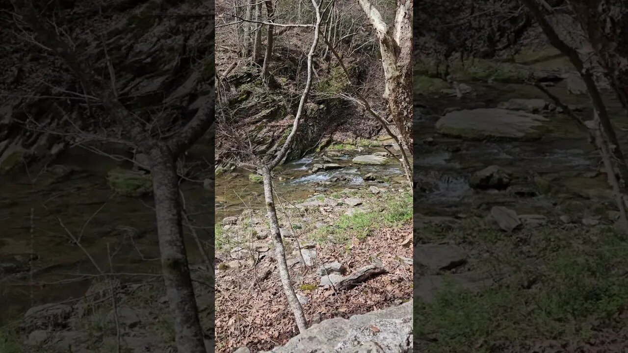 Natural Bridge!