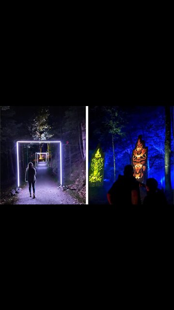 You Can Wander Through A Glowing Enchanted Forest Less Than 2 Hours From Ottawa