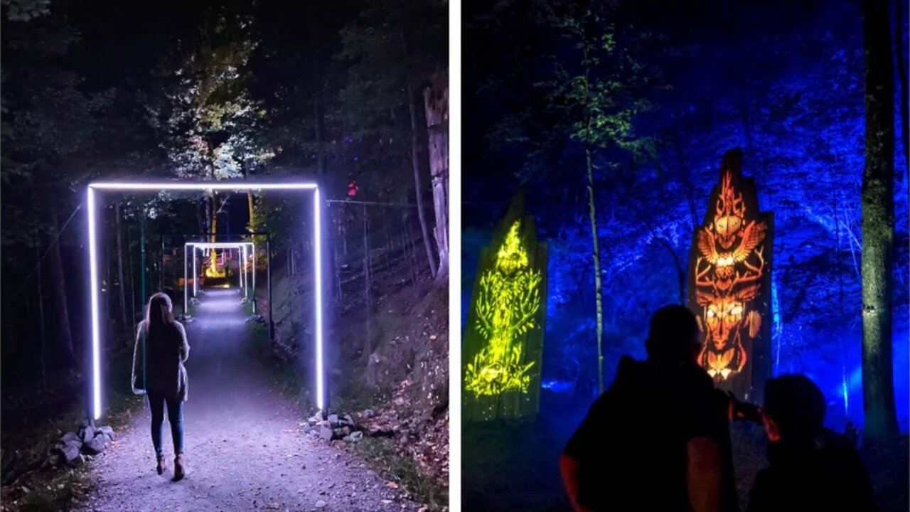 You Can Wander Through A Glowing Enchanted Forest Less Than 2 Hours From Ottawa