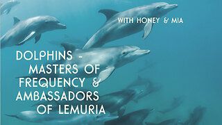 Dolphins - Masters of Frequency & Ambassadors of Lemuria