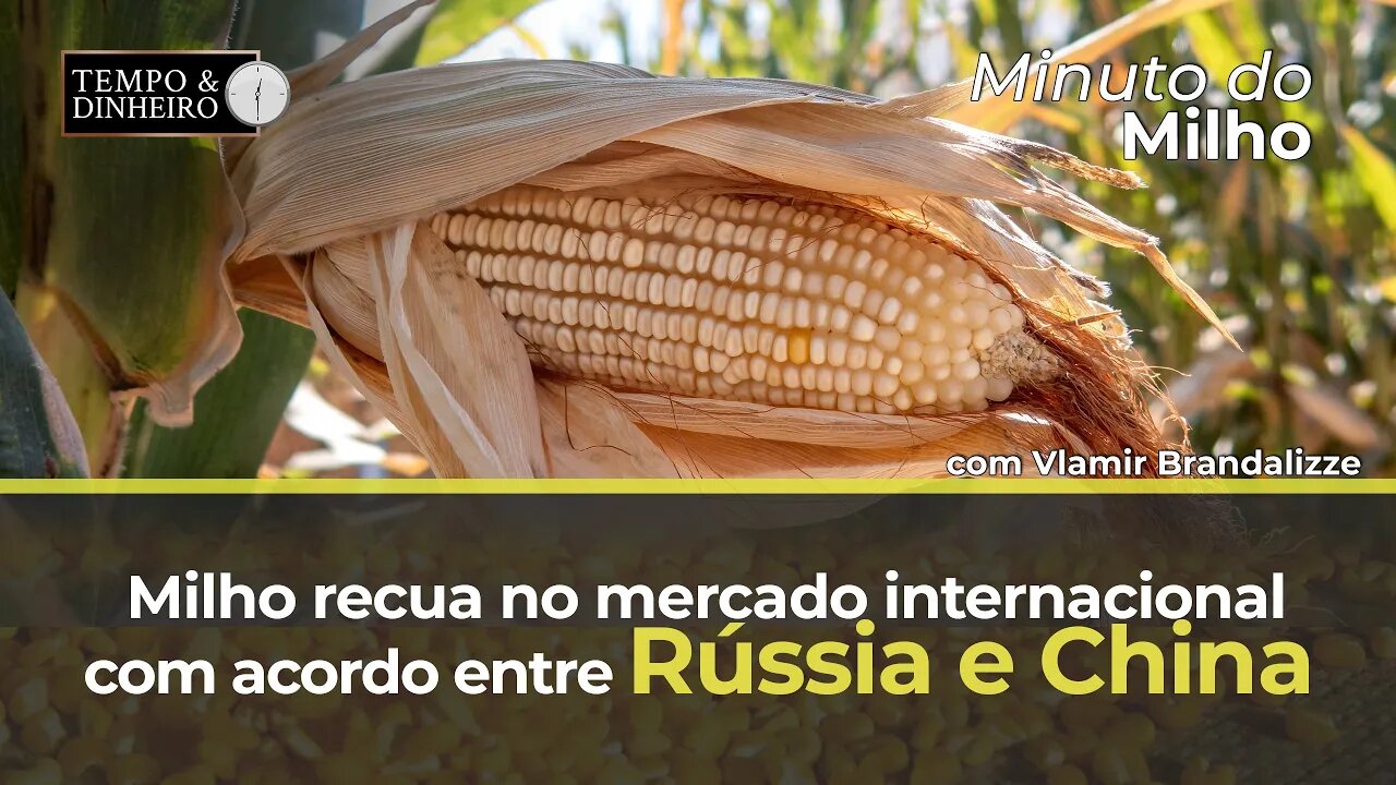 Milho recua no mercado internacional com acordo entre Rússia e China.