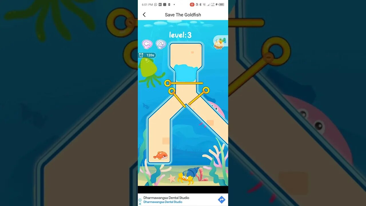 PIN PIN 📍 PULL SAVE GOLDFISH 😉