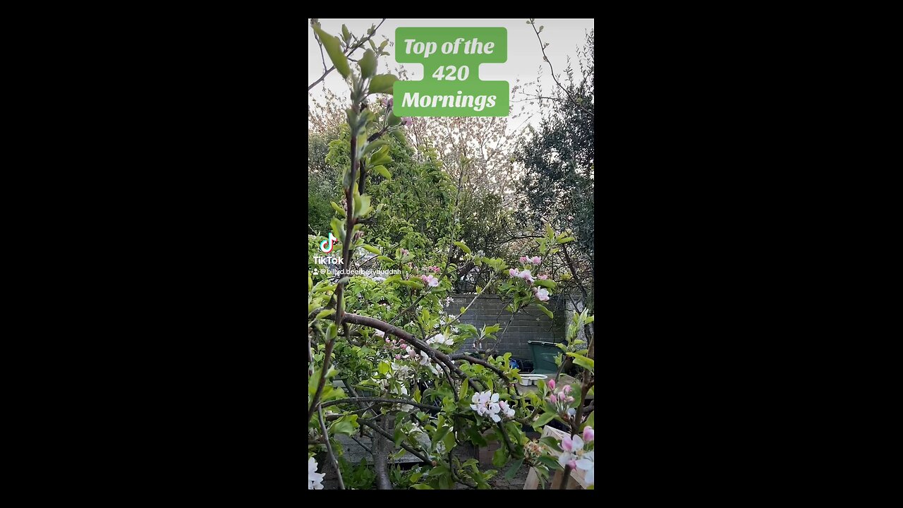 #420 somewhere,everywhere,enjoy there.