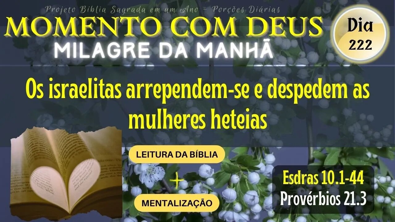 MOMENTO COM DEUS - MILAGRE DA MANHÃ - Dia 222/365 #biblia