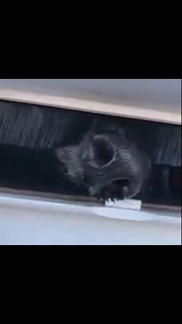 The cutest mail I've ever seen