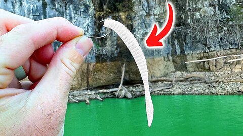 Will This REPLACE The Ned Rig as my FAVORITE Finesse Rig?