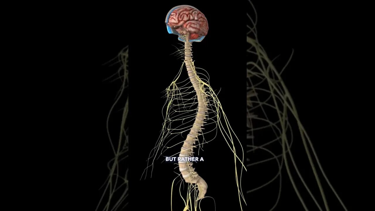 Central hyper sensitivity & chronic lower back pain