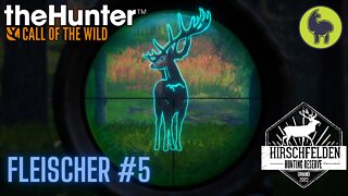 The Hunter: Call of the Wild, Fleischer #5 Hirschfelden (PS5 4K)