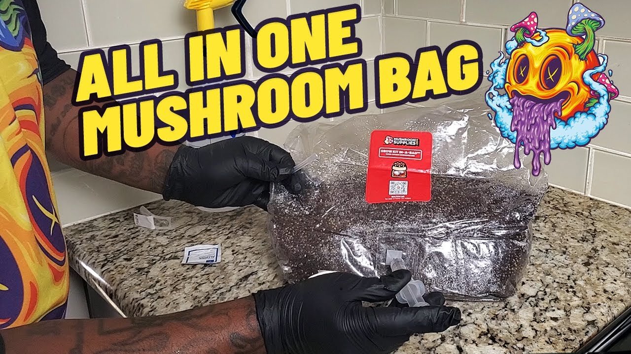 All In One Mushroom Grow Bag Inoculation (My First Time)